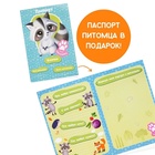 УЦЕНКА Набор для шитья «Мой питомец» «Енотик» DD-14 - Фото 4