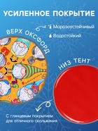 Ледянка мягкая Gnome, круглая, рисунок МИКС - Фото 3