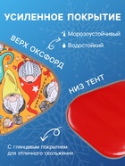 Ледянка мягкая Gnome, треугольная, рисунок МИКС - Фото 3