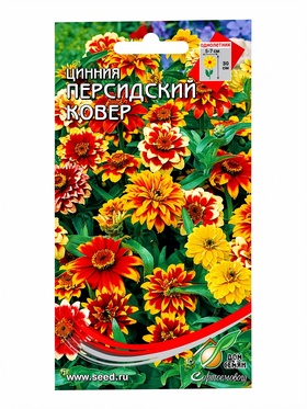 Семена Циния Персидский ковер