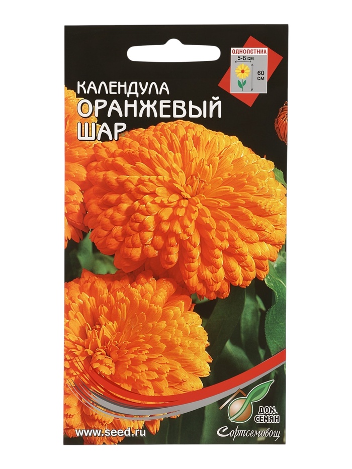 Семена Календула «Оранжевый Шар», «Сортсемовощ» - Фото 1