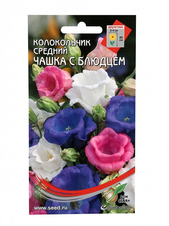 Семена Колокольчик «Чашка с Блюдцем», «Сортсемовощ» - Фото 1