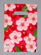 Пакет "Вишня", полиэтиленовый с вырубной ручкой, 20х30 см, 30 мкм 10958826