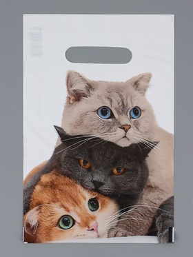 Пакет "Три кота", полиэтиленовый с вырубной ручкой, 20х30 см, 30 мкм (100 шт)