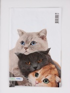 Пакет "Три кота", полиэтиленовый с вырубной ручкой, 20х30 см, 30 мкм 10958832