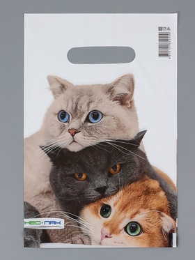 Пакет «Три кота», полиэтиленовый с вырубной ручкой, 20×30 см, 30 мкм