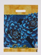 Пакет "Камелия, полиэтиленовый с вырубной ручкой 30х40 см, 60 мкм 10958834