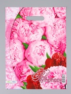 Пакет подарочный «Розовая симфония», полиэтиленовый с вырубной ручкой 30×40 см, 60 мкм - Фото 2