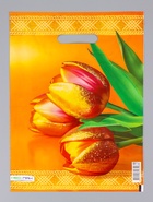 Пакет подарочный «Желтые тюльпаны», полиэтиленовый с вырубной ручкой 30×40 см, 60 мкм - Фото 2