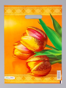 Пакет подарочный «Желтые тюльпаны», полиэтиленовый с вырубной ручкой 30?40 см, 60 мкм (комплект 25 шт)