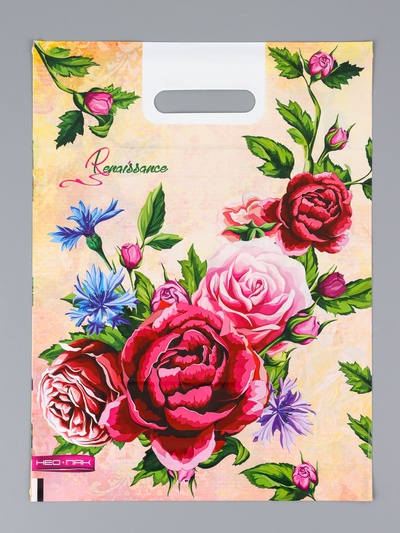 Пакет подарочный «Ренессанс», полиэтиленовый с вырубной ручкой 30×40 см, 60 мкм