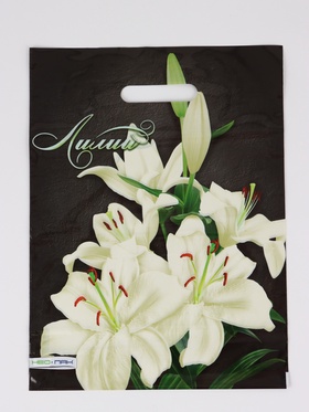 Пакет «Лилии», полиэтиленовый с вырубной ручкой 30×40 см, 60 мкм