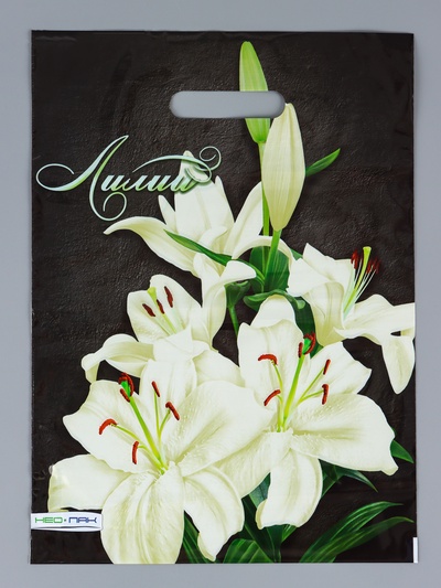 Пакет «Лилии», полиэтиленовый с вырубной ручкой 30×40 см, 60 мкм