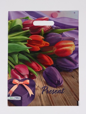 Пакет подарочный «Презент», полиэтиленовый с вырубной ручкой 30×40 см, 60 мкм