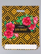 Пакет «Подарочный», полиэтиленовый с вырубной ручкой 38×45 см, 60 мкм - Фото 2