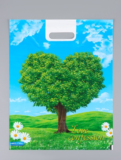 Пакет «Признание», полиэтиленовый с вырубной ручкой 38×47 см, 60 мкм