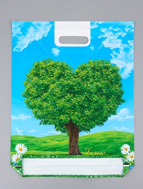 Пакет «Признание», полиэтиленовый с вырубной ручкой 38?47 см, 60 мкм (комплект 25 шт)