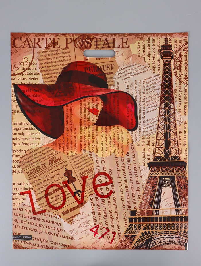 Пакет «Дама в шляпе», полиэтиленовый с вырубной ручкой, 50×60 см, 100 мкм - Фото 1