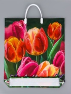 Пакет «Яркие тюльпаны» полиэтиленовый с пластиковой ручкой, 38×44 см, 90 мкм 10958916