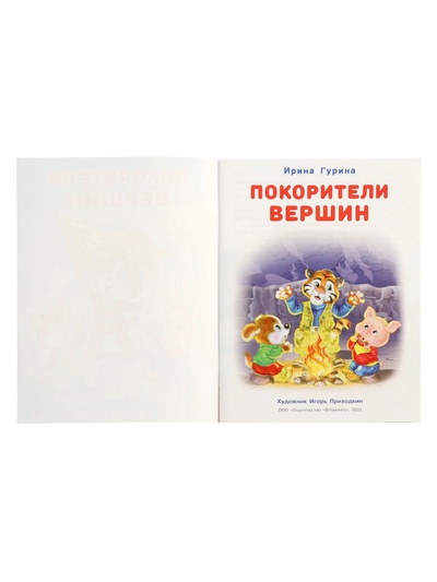 Книга «Покорители вершин», 16 стр., Гурина И. В.