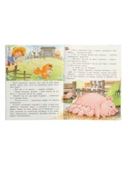 Книга «Котёнок познаёт мир», 16 стр., Коваль Т. Л. 10967003