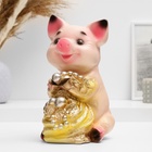 УЦЕНКА Копилка для денег «Поросенок большой с мешком», 17×14×24 см, МИКС - Фото 2