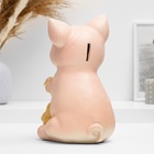 УЦЕНКА Копилка для денег «Поросенок большой с мешком», 17×14×24 см, МИКС - Фото 3