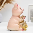 УЦЕНКА Копилка для денег «Поросенок большой с мешком», 17×14×24 см, МИКС - Фото 4