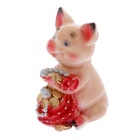 УЦЕНКА Копилка для денег «Поросенок большой с мешком», 17×14×24 см, МИКС - Фото 6