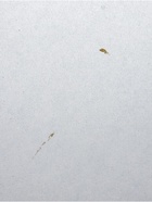 УЦЕНКА Стол журнальный Барон, 1000×480×560, Белый - Фото 8