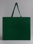 Пакет подарочный ламинированный горизонтальный «Изумрудный», 48×39×16 см - Фото 2