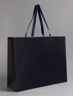 Пакет подарочный ламинированный горизонтальный «Синий», 48×39×16 см 10919611