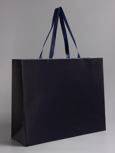 Пакет подарочный ламинированный горизонтальный «Синий», 48×39×16 см