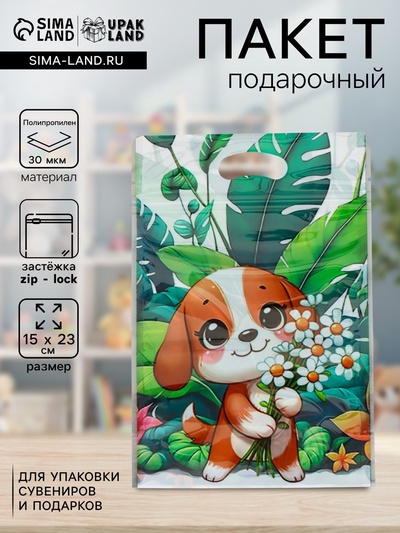 Пакет подарочный, с zip-lock застежкой «Букет ромашек», 15×23±1 см