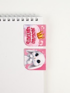 Набор: блокнот А6, 32 листа, наклейки, магнитные закладки "С 8 Марта" 10911211