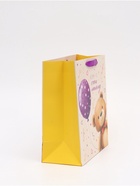 Пакет ламинированный «Мишка», ML 23 × 27 × 11,5 см 10894019