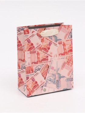 Пакет подарочный «Деньги», S 12 × 15 × 5,5 см