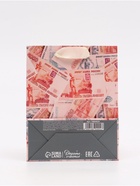 Пакет подарочный «Деньги», S 12 × 15 × 5,5 см 10894024