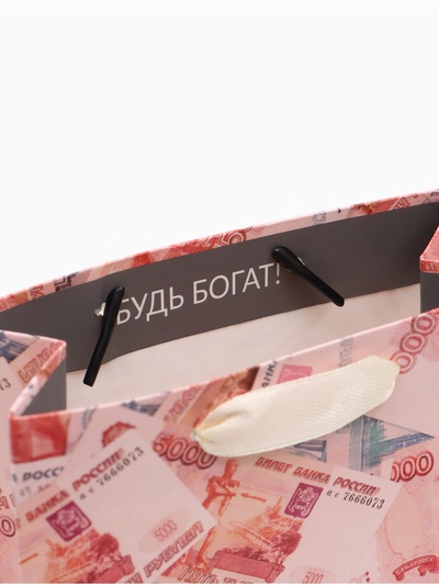Пакет подарочный «Деньги», 12×15×5.5 см
