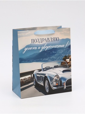 Пакет ламинированный «Поздравляю», ML 23 ? 27 ? 11,5 см (комплект 2 шт)