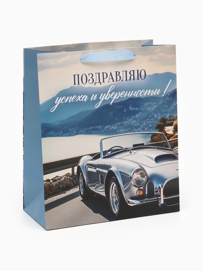 Пакет подарочный «Поздравляю», 23×27×11.5 см