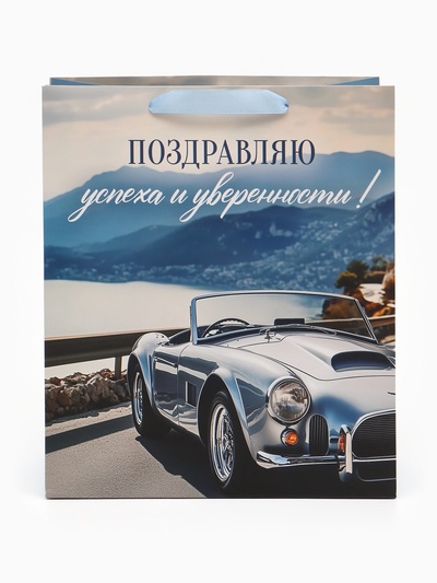 Пакет подарочный «Поздравляю», 23×27×11.5 см
