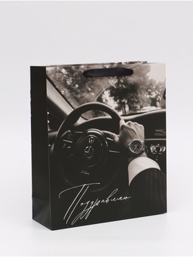 Пакет подарочный «Поздравляю», M 25,5 ? 30 ? 9 см (комплект 2 шт)