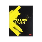 УЦЕНКА Папка на 2 кольцах А5 "Взмах кистью", гл лам ПК5л_29262 - Фото 1