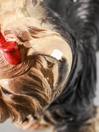 УЦЕНКА Копилка «Йоркширский терьер» стоя, 16×32×28 см - Фото 7