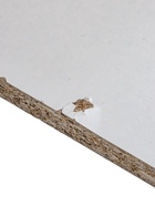 УЦЕНКА Шкаф четырехстворчатый Квадро, 1600х487х2200, Белый - Фото 3