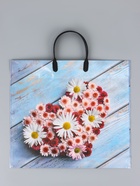 Пакет «Ромашковое сердце», полиэтиленовый с пластиковой ручкой, 38×34 + 3 см, 90 мкм 10962312