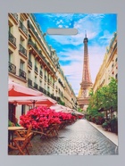 Пакет подарочный «Париж», полиэтиленовый с вырубной ручкой, 31×40 см, 60 мкм 10962338