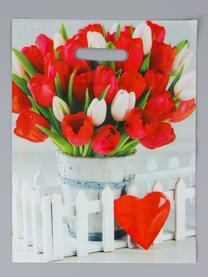 Пакет подарочный «Белиция», полиэтиленовый с вырубной ручкой, 31×40 см, 60 мкм - Фото 1