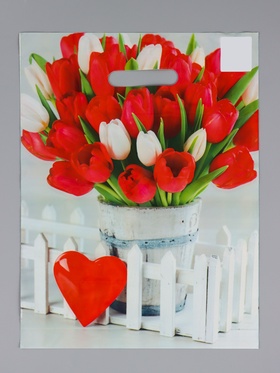 Пакет подарочный «Белиция», полиэтиленовый с вырубной ручкой, 31?40 см, 60 мкм (комплект 50 шт)